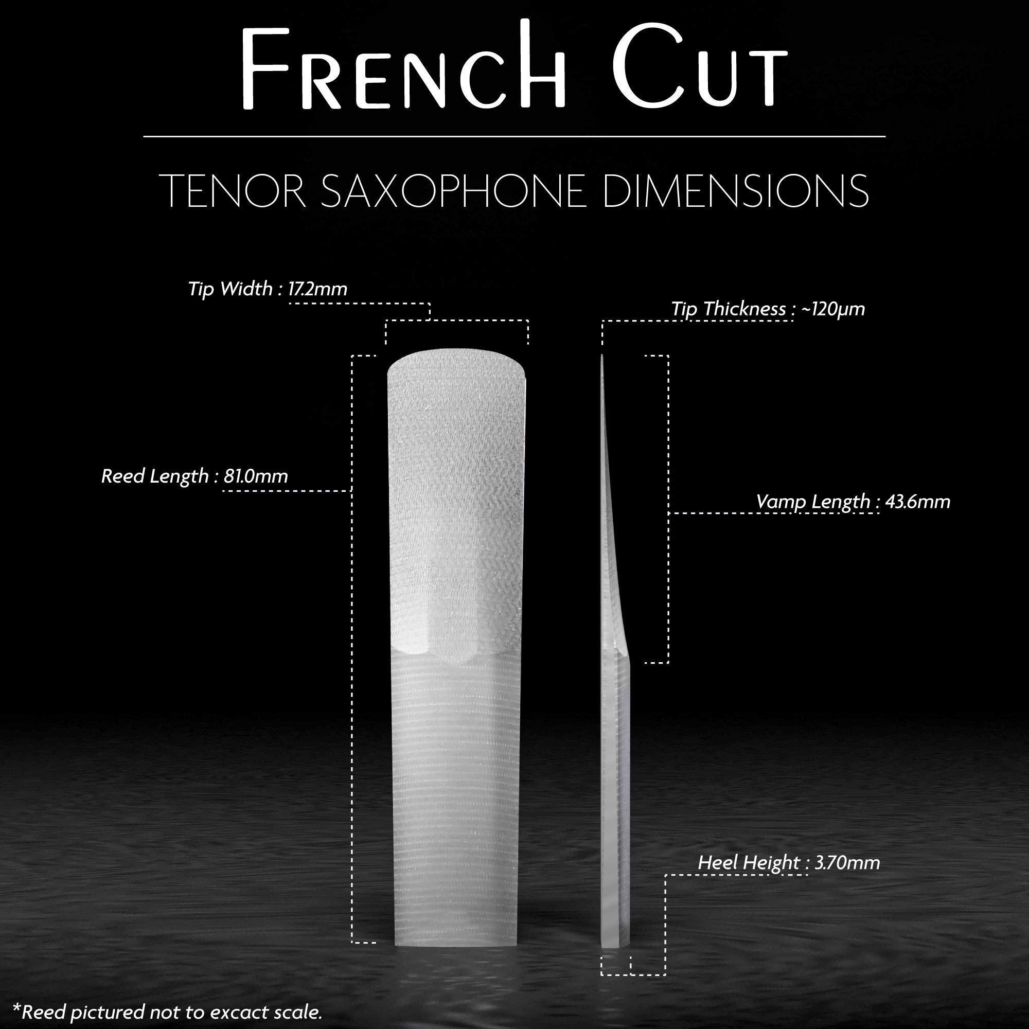 French-Cut-tenor-dimensjoner