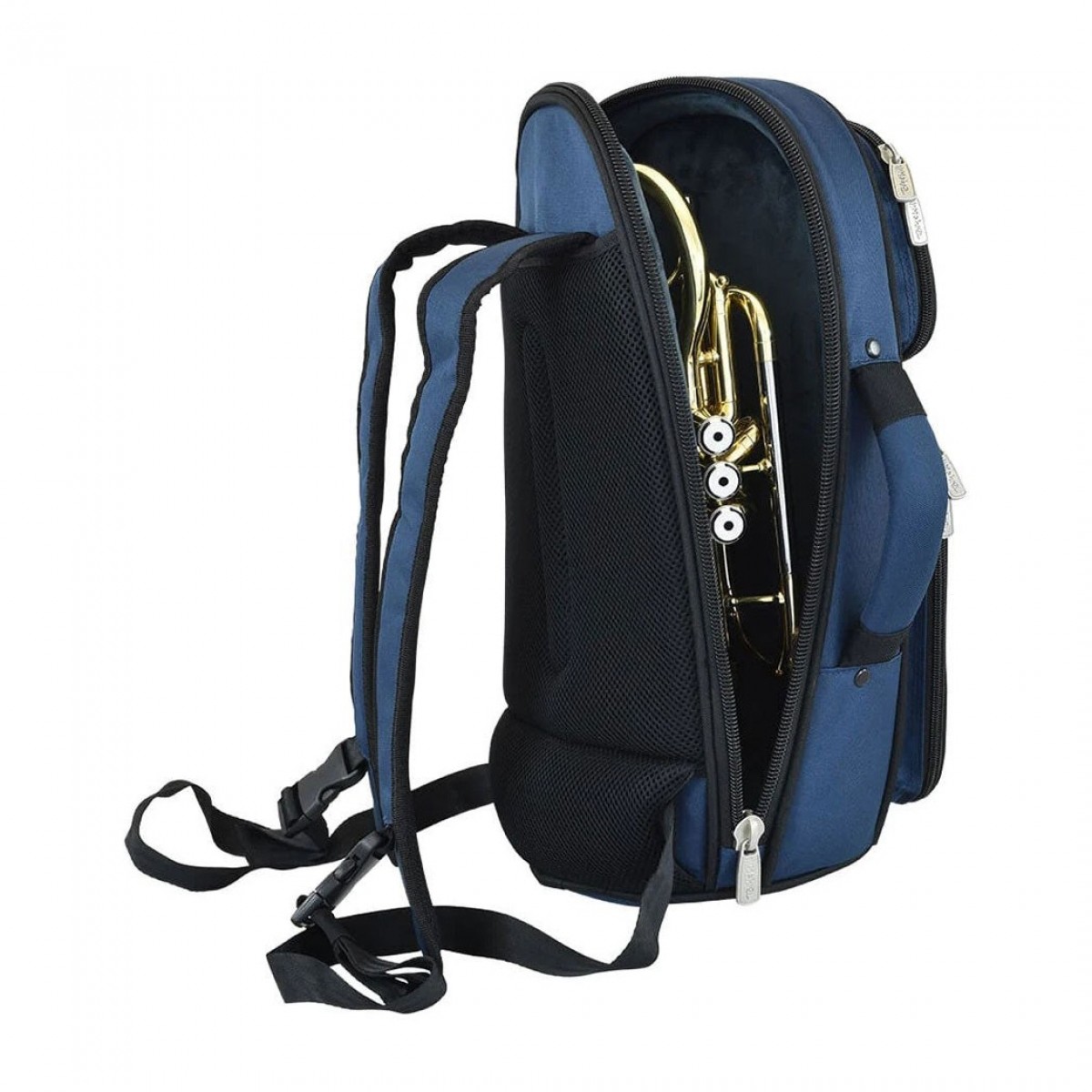 Tom_&_will_gigbag_kornett_2