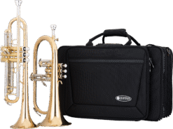 Jupiter 1100-series, Trompet- og Flygelhornsett
