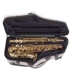 Bam Hightech dobbeletui for alt- og sopransax - 4120XLNS